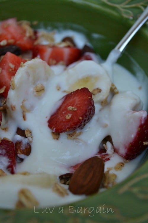 https://www.tosimplyinspire.com/wp-content/uploads/2014/08/How-to-Make-Fat-Free-Greek-Yogurt3-1.jpg