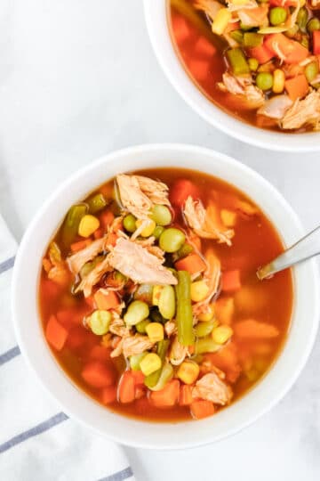 Best Hearty Chicken Vegetable Soup