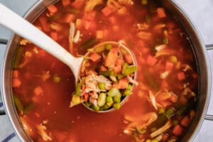 Best Hearty Chicken Vegetable Soup