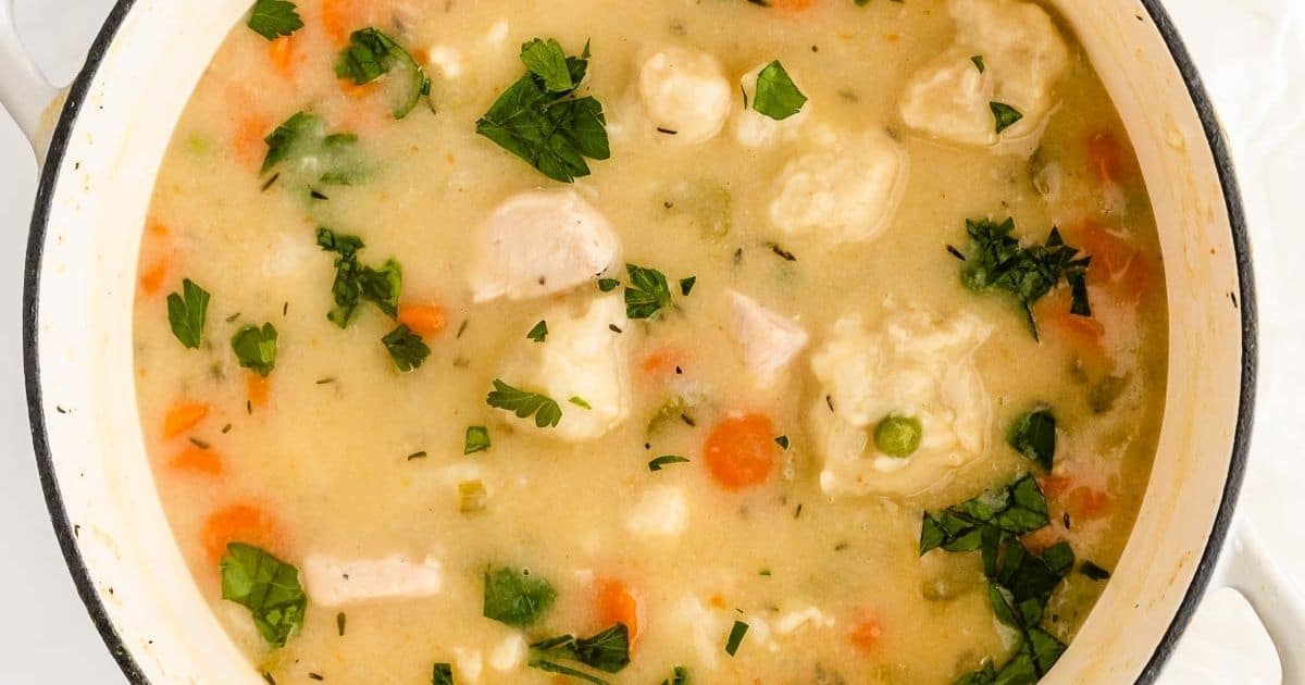 Easy Chicken and Dumplings Soup - Seasoned by Silvie