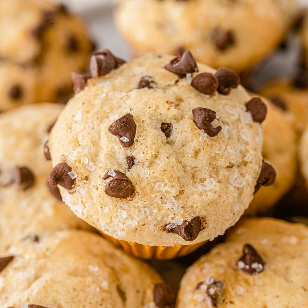Chocolate Chip Mini Muffins Recipe