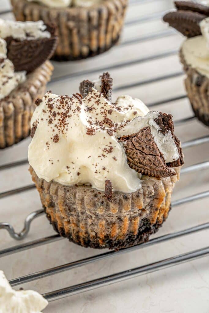 Oreo Cheesecake Cupcakes - To Simply Inspire
