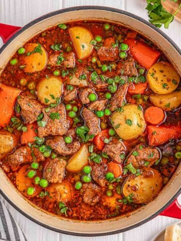 A red pot of ready to serve lamb stew garnished with herbs on a wooden table.